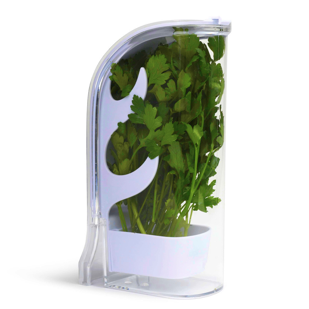 Herb Keeper Container - Bac à légumes pour herbes, récipient