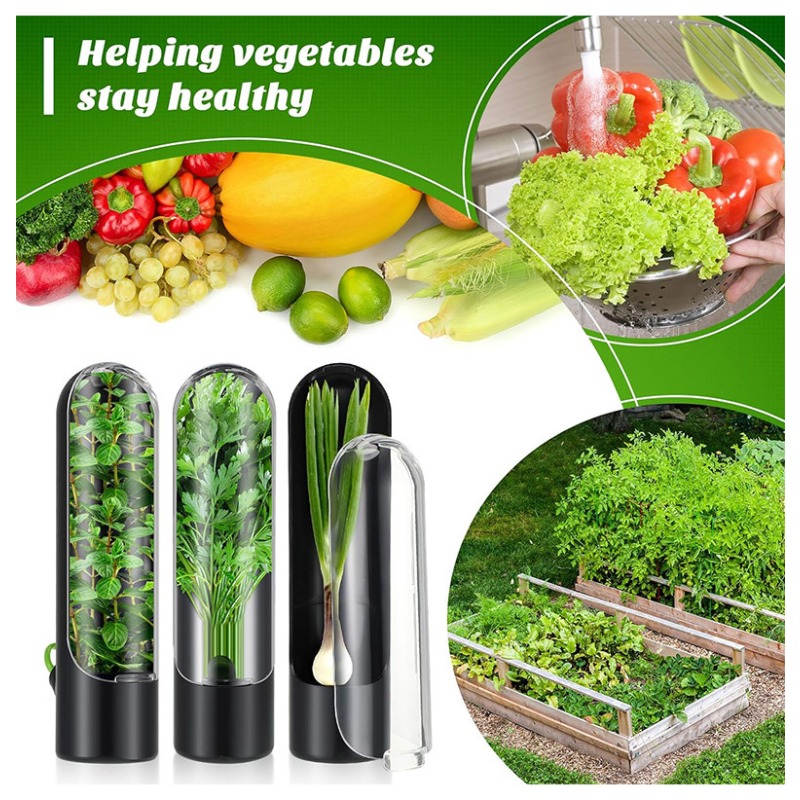 Herb Keeper Container - 1/2/3 pièces Contenant de stockage pour