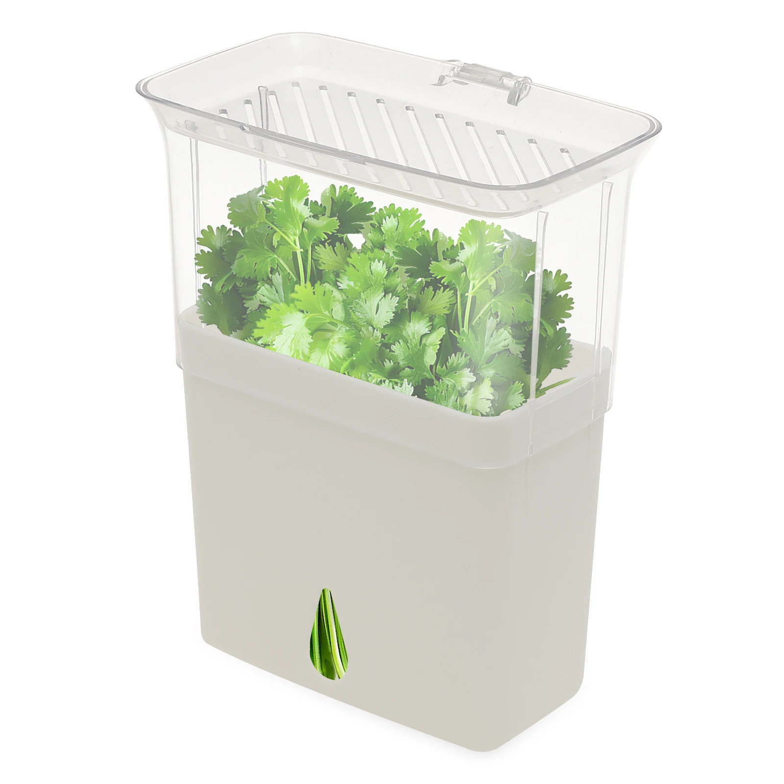 Herb Keeper Container - Boîte de conservation hermétique pour herbes