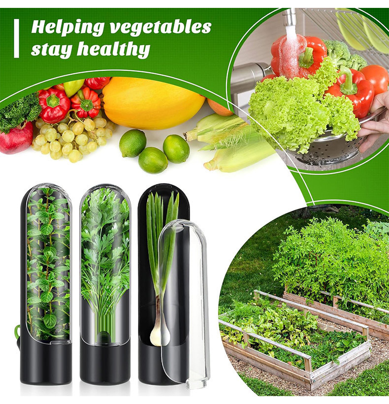 Herb Keeper Container - Bouteille de conservation des légumes frais,