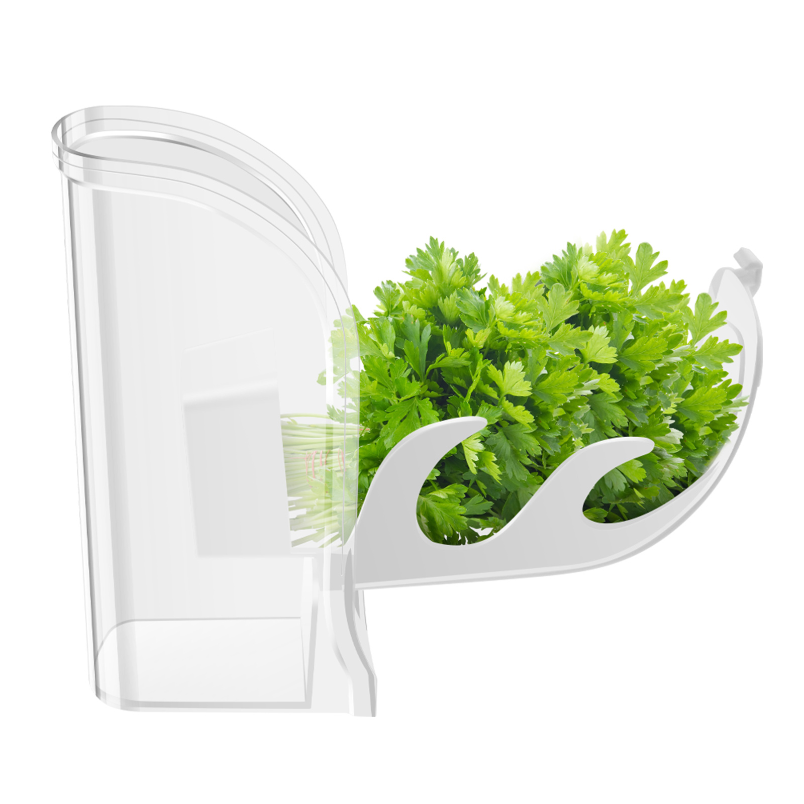 Bac à légumes pour herbes, réc - Herb Keeper Container avis et prix