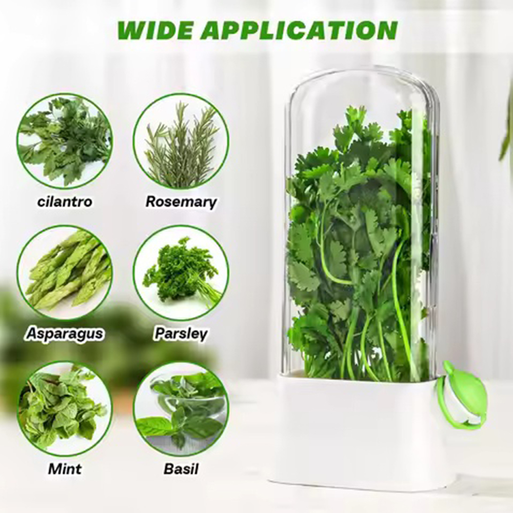 Bac à légumes pour réfrigérate - Herb Keeper Container avis et prix