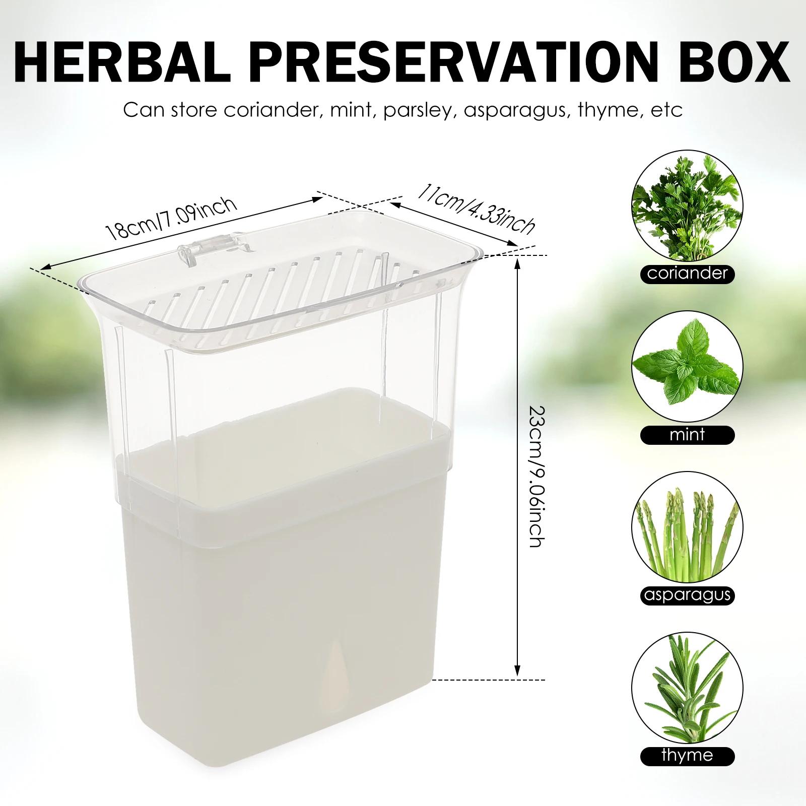 Boîte de conservation hermétiq - Herb Keeper Container avis et prix