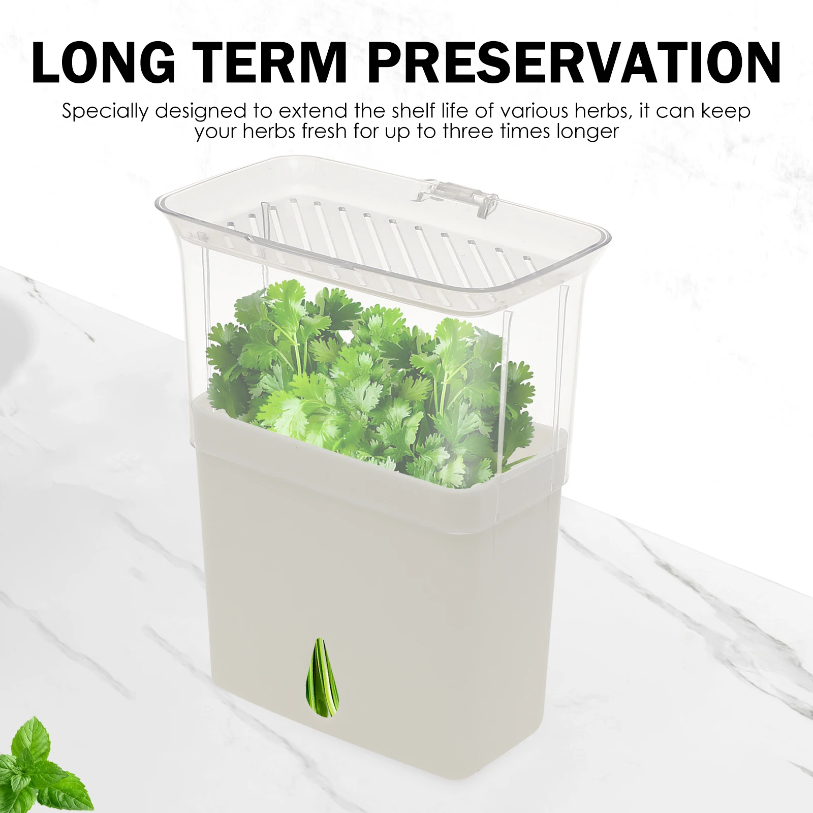 Boîte de conservation hermétiq - Herb Keeper Container avis et prix